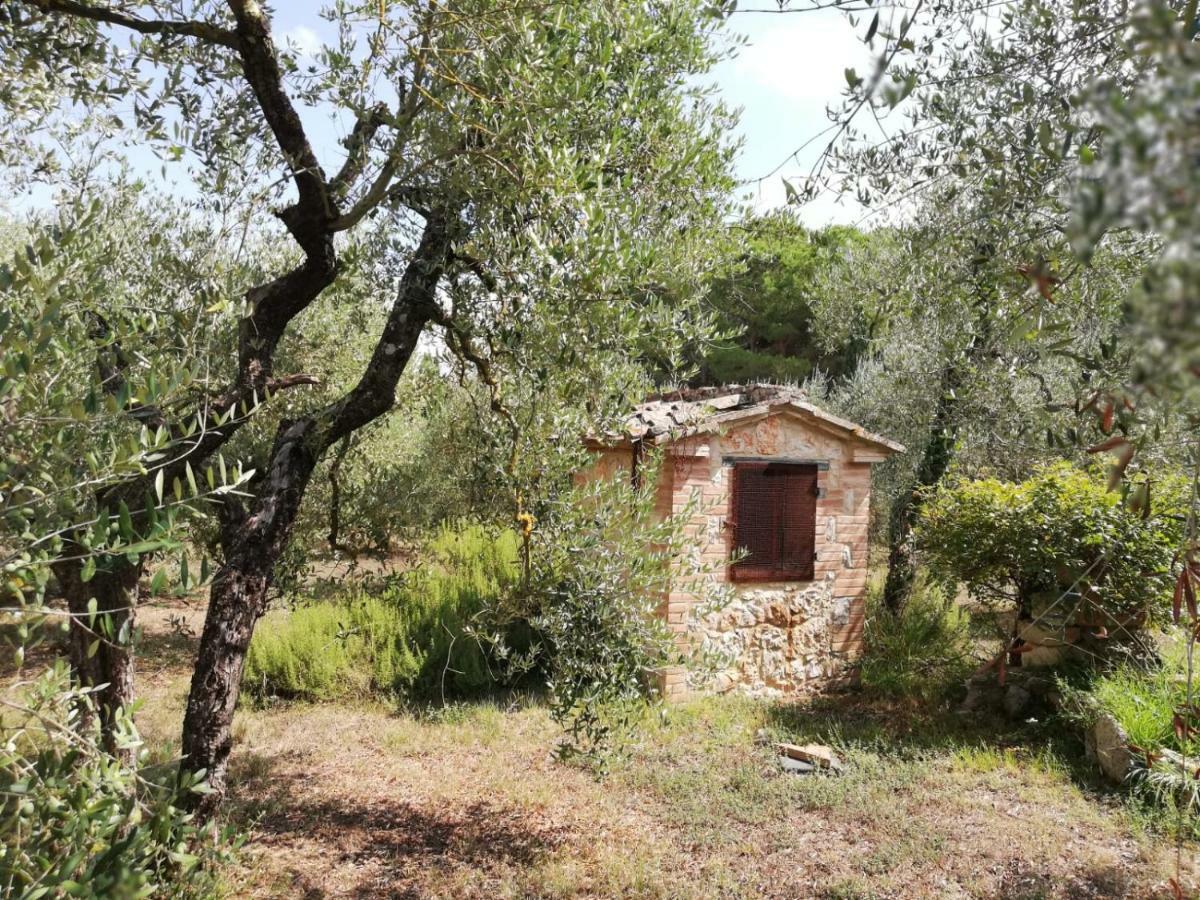 Ferienwohnung Nel Chianti Lungo La Francigena Colle di Val d'Elsa Exterior foto