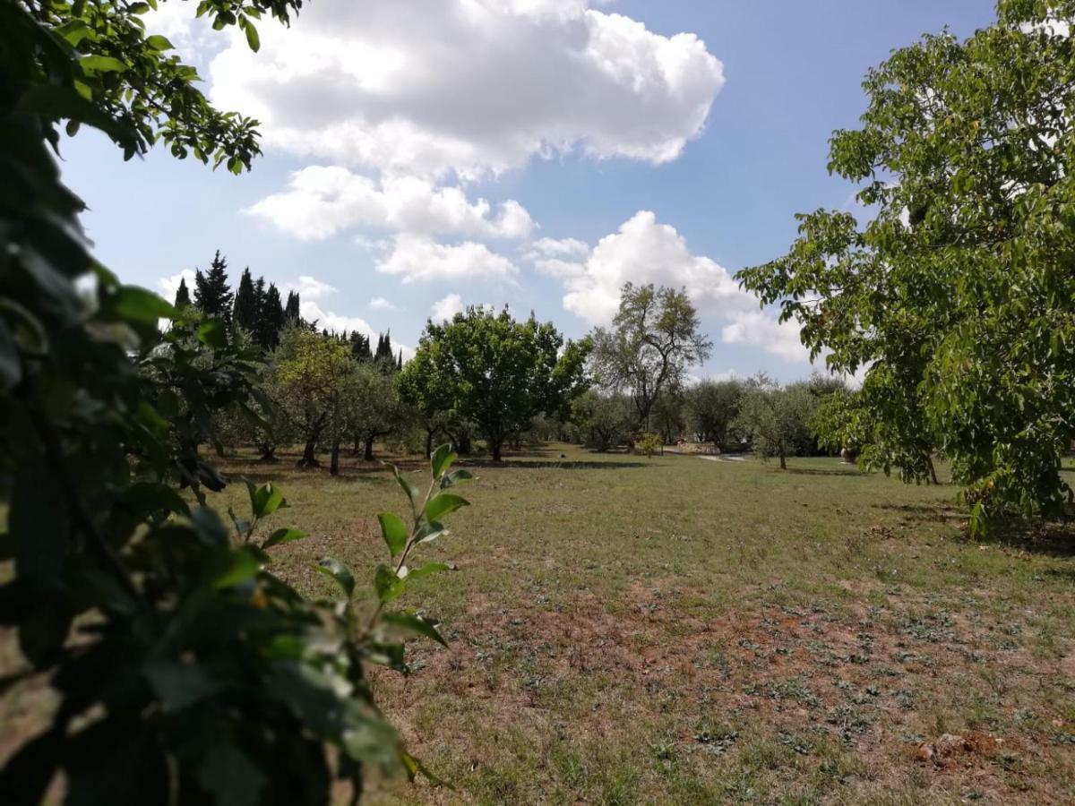 Ferienwohnung Nel Chianti Lungo La Francigena Colle di Val d'Elsa Exterior foto