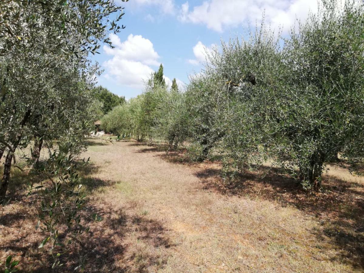 Ferienwohnung Nel Chianti Lungo La Francigena Colle di Val d'Elsa Exterior foto